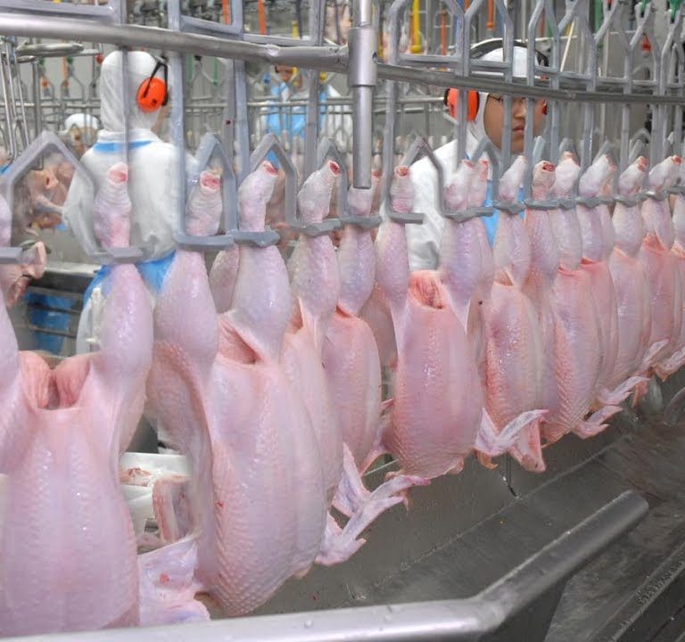 Frozen chicken suppliers for restaurants