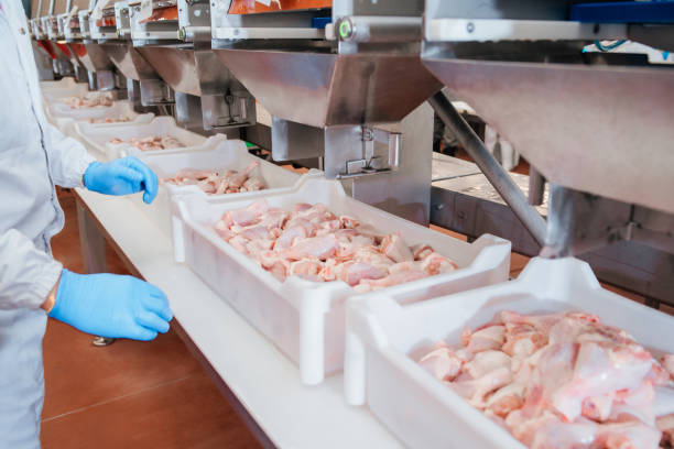 istockphoto- Brazil Frozen Chicken Suppliers - Brazilian Chicken Suppliers - Wholesale Frozen Chicken Brazil